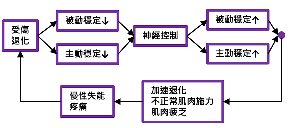 藥球旋轉運動是否能促進腰部恢復？高效核心訓練及腰痛恢復指南