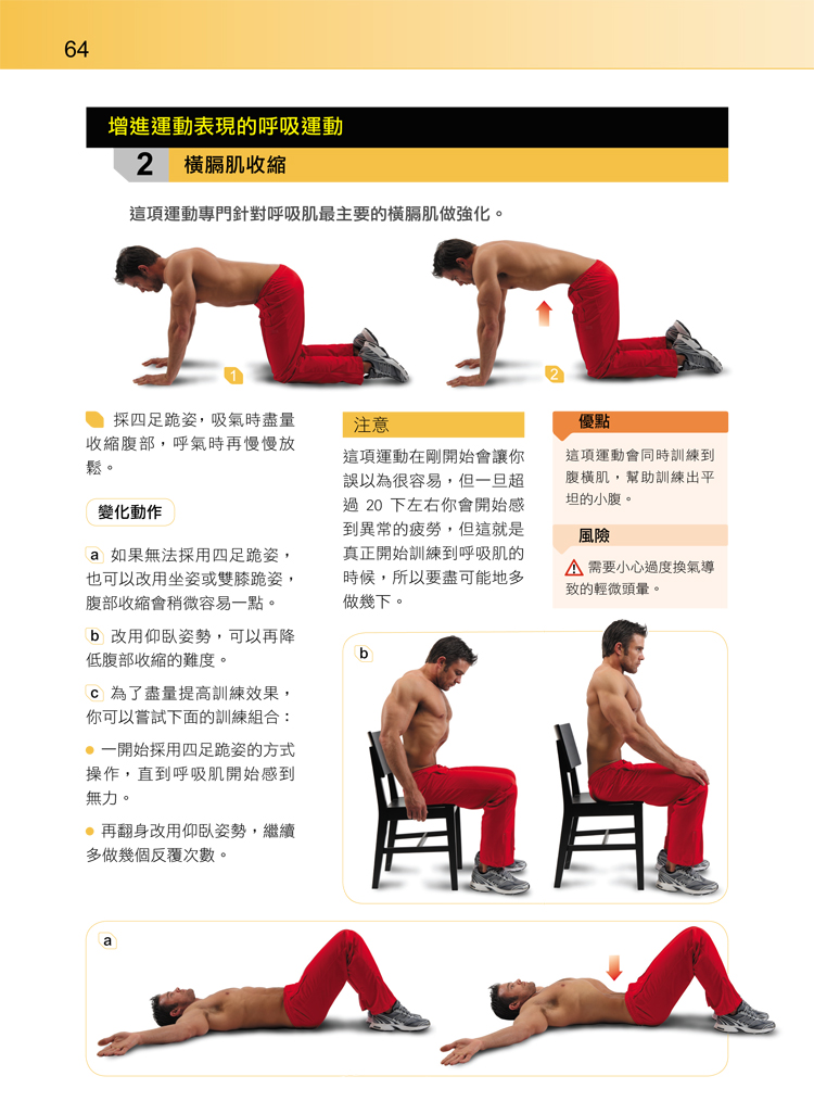 腹橫肌的專業訓練技巧：高效激活核心深層肌群的完整教學