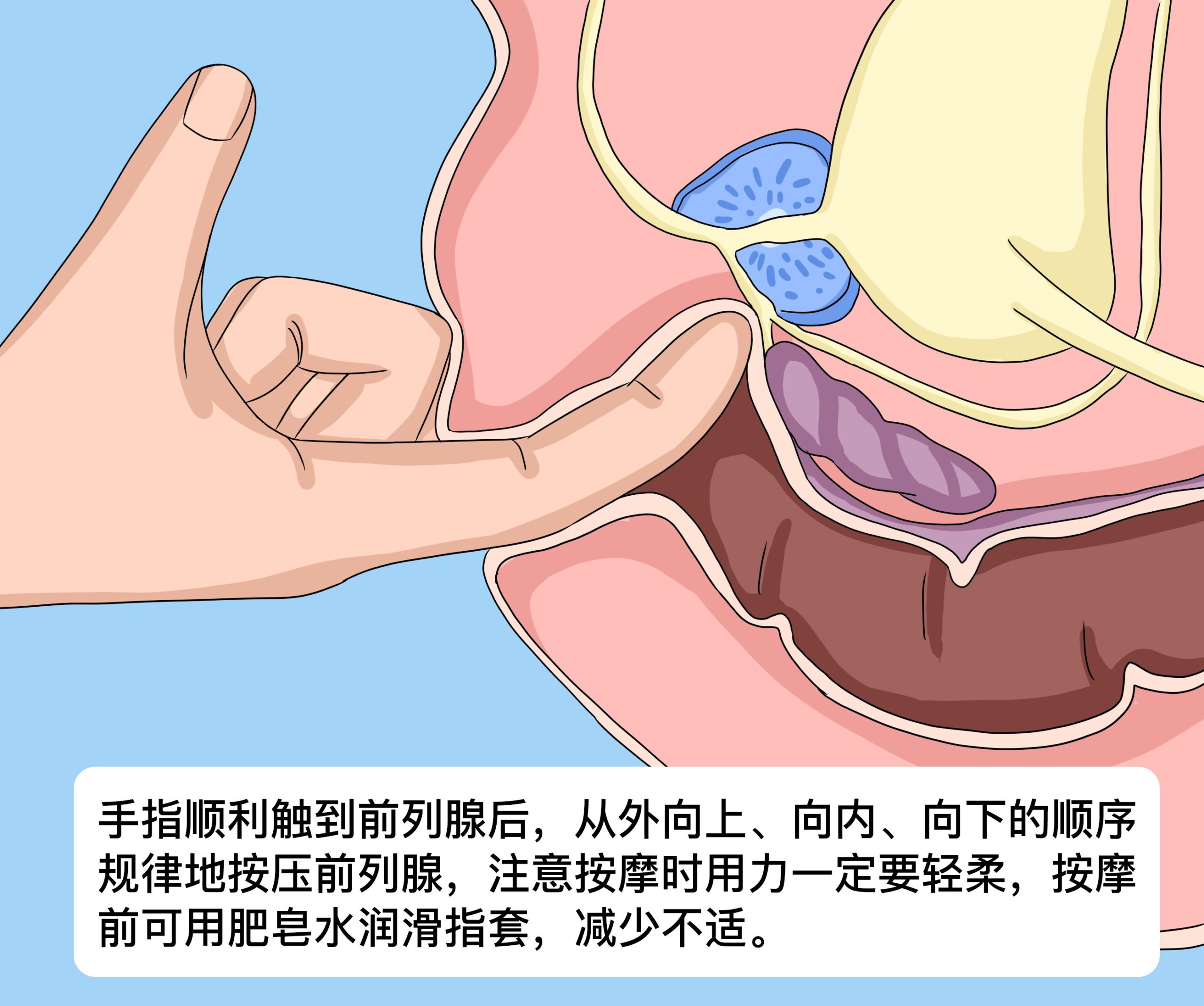 泡沫滾筒對全身肌肉恢復的重要性：高效滾動指南，釋放背部、腿筋、臀部緊繃！