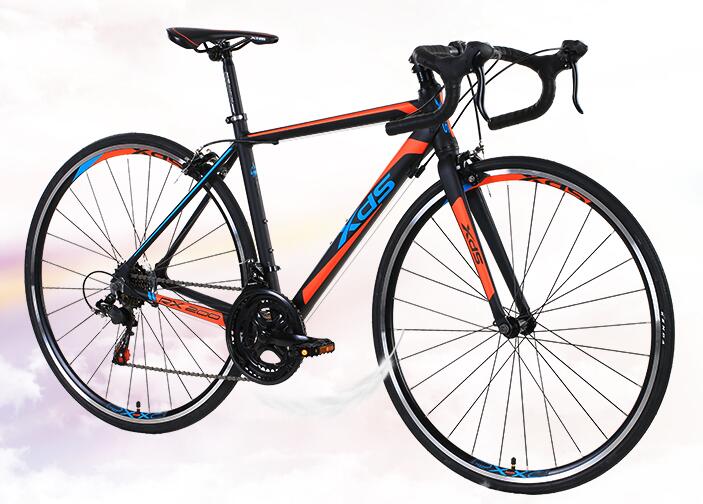 如何規劃適合新手的自行車入門訓練計劃？高效入門指南與完整教學