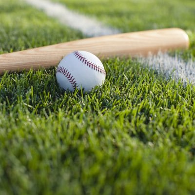 井端弘和 辞職後のメディア出演：解説者としての影響力とキャリア展望