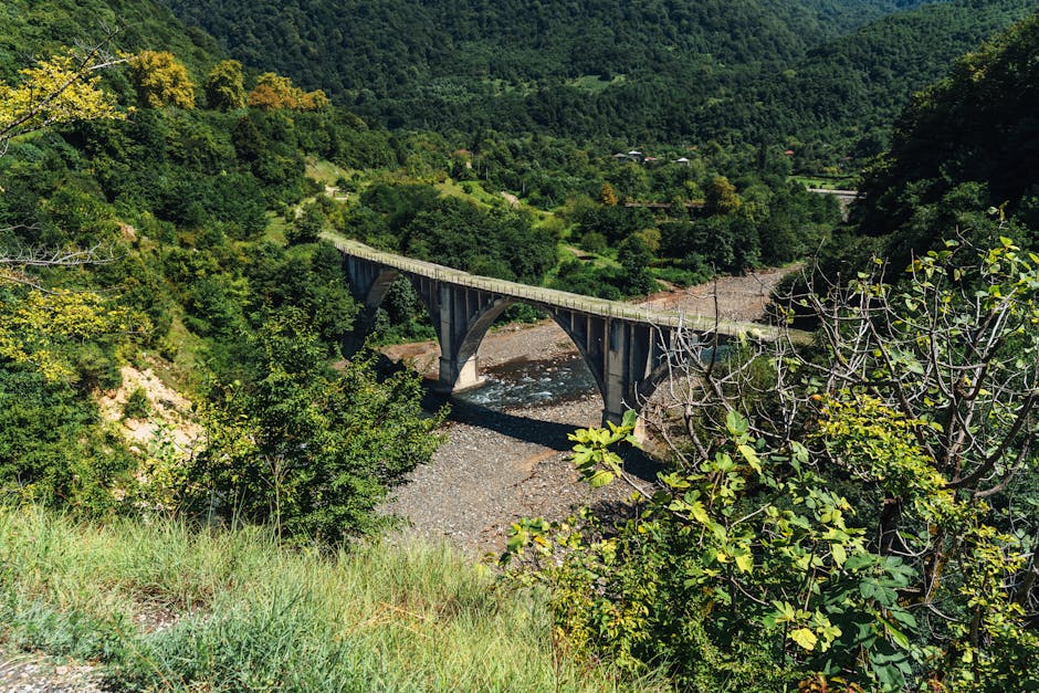 自由式游泳換氣技巧：克服恐懼、掌握節奏的分解動作教學，助你輕鬆換氣！