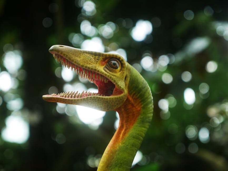 保加利亞分腿蹲怎麼做才正確？訓練重點與新手常見錯誤解析