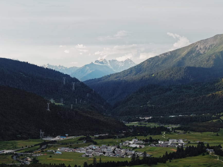 登山健行技巧：如何正確使用登山杖？上下坡的省力與安全訣竅