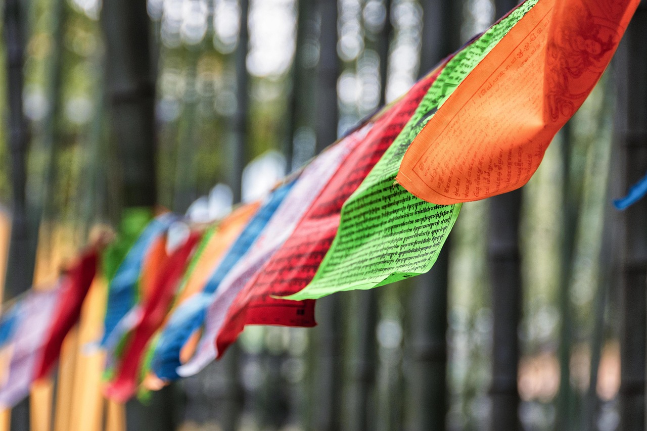 如何在帶貨直播中設定「課程式」章節？高效銷售的完整教學攻略