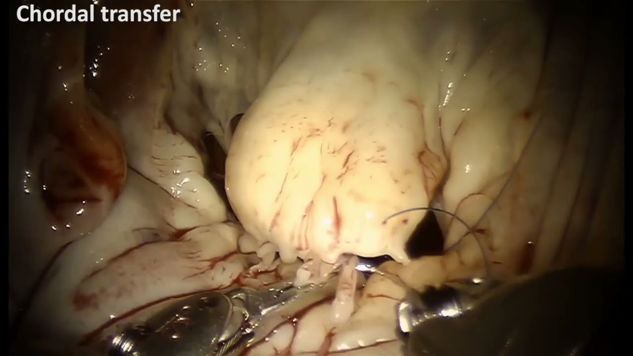 帶貨直播中如何設計「分級教學」解答不同需求：高效提升轉化率的完整教學