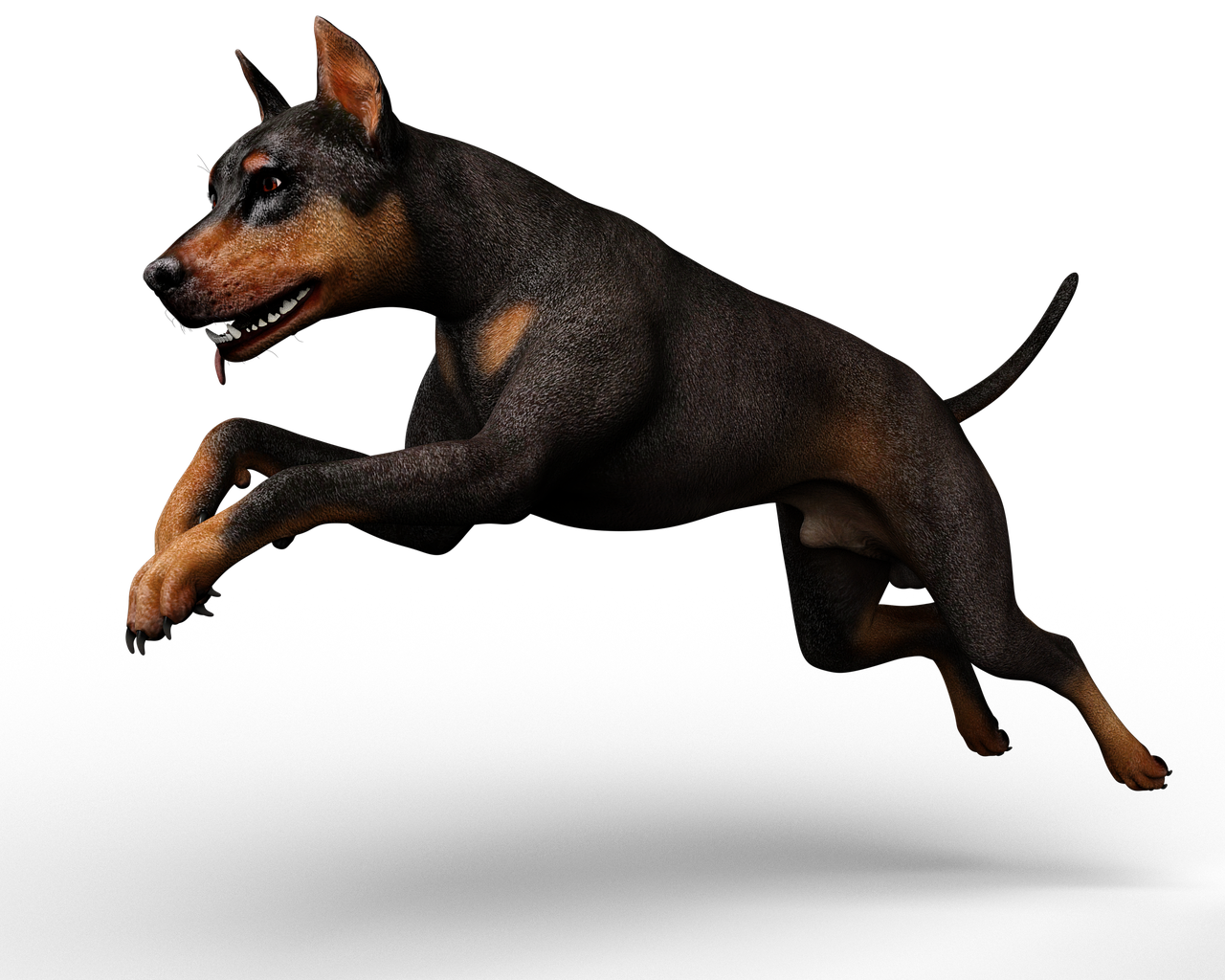 直播帶貨如何同時進行「多平台同步」又不分散焦點？高效運營秘訣完整教學