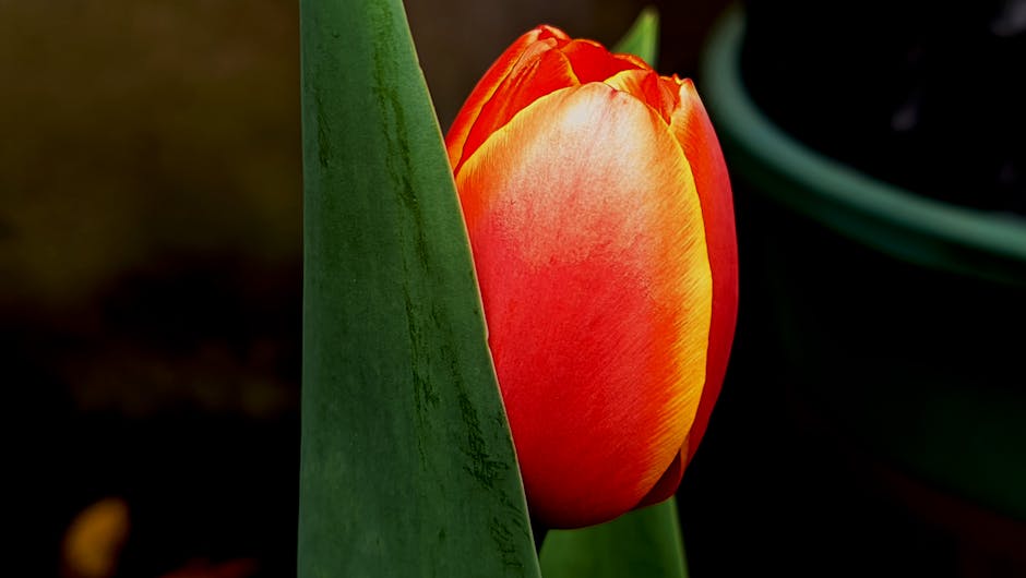 直播互動妙招大公開！讓觀眾嗨翻天