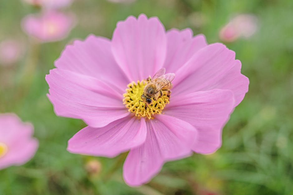 如何在直播帶貨中保持品牌連續性並提升粉絲忠誠度？高效提升直播銷售的完整教學